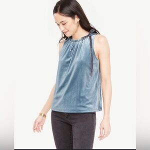 Ann Taylor Teal Velvet Blouse